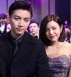 娱乐陈晓吃瓜小说下载,娱乐圈的甜蜜陷阱