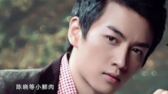 娱乐陈晓吃瓜小说下载,娱乐圈的甜蜜陷阱