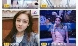 小三爆料博主视频大全下载,揭秘娱乐圈背后的秘密与真相