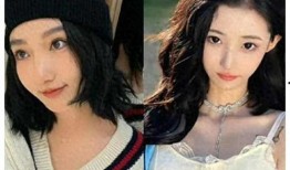 娱乐大爆料加拿大女星,揭秘明星背后的故事与争议