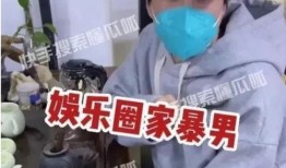 娱乐圈爆料家暴男小说