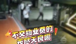 四川爆料热点新闻视频,揭秘最新爆料视频背后的真相
