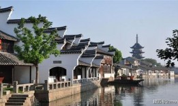 吴江震泽最新闻爆料,吴江震泽镇突发新闻事件回顾