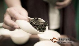 最新茶叶爆料新闻,神秘新品亮相，传统茶文化焕发新活力