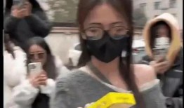 娱乐随拍吃瓜八卦视频下载,随拍吃瓜，八卦视频下载全攻略