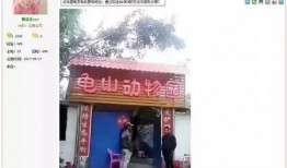 玉林爆料最新,揭秘当地最新热点事件！
