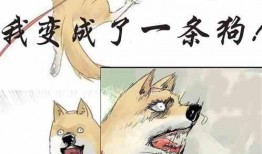 肆意吃瓜小说免费阅读,揭秘肆意吃瓜小说的免费阅读之旅