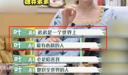 小美弟弟爆料视频全集免费观看,揭秘背后惊人真相