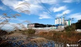 泰顺最新爆料,最新爆料带你领略这座神秘山城的魅力
