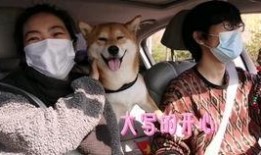 网红狗哥爆料吃瓜视频大全,吃瓜视频大全大放送！