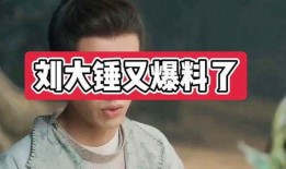 刘大锤最新爆料盘点