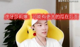 莎莉最新爆料,揭秘娱乐圈不为人知的秘密