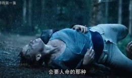 在线观看惨雨,在线观看，揭秘人性深渊的惊悚之旅