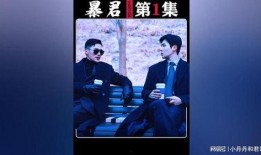 暴君韩剧在线观看,权力与欲望的残酷交响曲