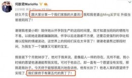 何猷君爆料生儿子视频在线观看,独家视频首曝萌娃瞬间