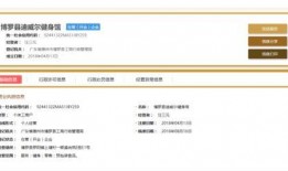新平果市民最新爆料,揭秘城市新动态，共话发展新篇章