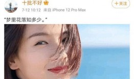 娱乐大爆料 刘涛的微博,揭秘娱乐圈幕后故事