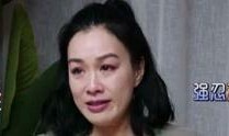娱乐吃瓜凤姐视频全集,揭秘娱乐圈的“吃瓜”盛宴