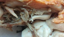 爆料炸鸡有虫视频大全图片,惊悚视频与图片大曝光