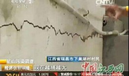 瑞昌新闻爆料事件始末,真相与争议交织的舆论漩涡