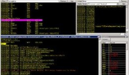 新闻爆料者 ringzero,揭秘新闻背后真相