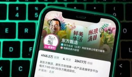 辛巴爆料董宇辉视频,一场直播界的风云再起