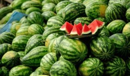 威海吃瓜网红有哪些名字,瓜界风云人物大揭秘