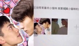 发哥王者爆料视频,揭秘游戏幕后故事与精彩瞬间