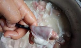 大厨爆料小肠视频,小肠烹饪全过程大揭秘