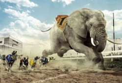 八哥爆料雷利视频大全集,雷利视频大全集精彩瞬间汇总