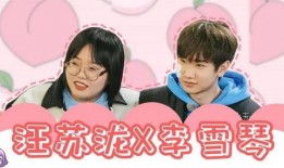 明星塌房爆料视频播放,视频播放背后的惊人真相