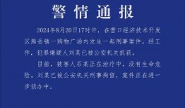 辽宁热点爆料最新消息,重大事件引发社会关注