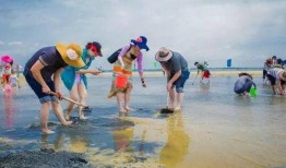 户外赶海爆料视频播放,揭秘海滩宝藏的户外探险之旅