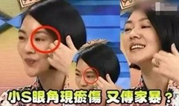 娱乐圈爆料家暴男小说