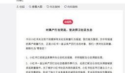 小红书爆料笔记怎么做视频,轻松打造爆款内容