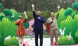 欢哥最新爆料新闻视频,最新爆料新闻视频深度解析