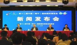 南宁新闻爆料记者电话,记者电话曝光，揭秘背后真相