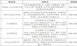 寿光最新爆料事件新闻,事件真相逐步浮出水面