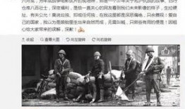 南航学生爆料事件始末视频,真相与争议的交织历程