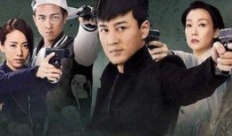 使徒行者1国语在线观看,揭秘卧底风云，探秘黑白世界