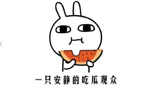 吃瓜表情是什么意思啊内涵,揭秘网络热词背后的趣味与内涵