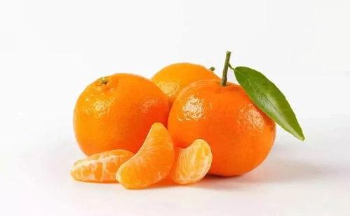 橘子娱乐吃瓜队,揭秘娱乐圈幕后风云